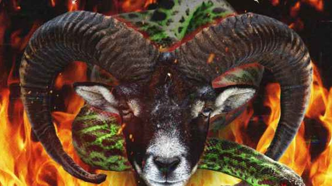 Lil Wayne & Wheezy - Bless ft. Young Thug (Official Audio)